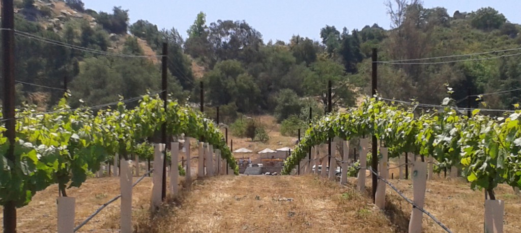 Malbec - April 2013