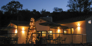 Christmas patio 28 Dec 2013